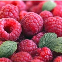 Gavekort på kr. 1000 til Lundhede.com